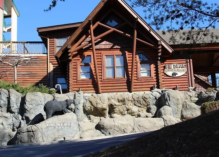 Apartment: What A View