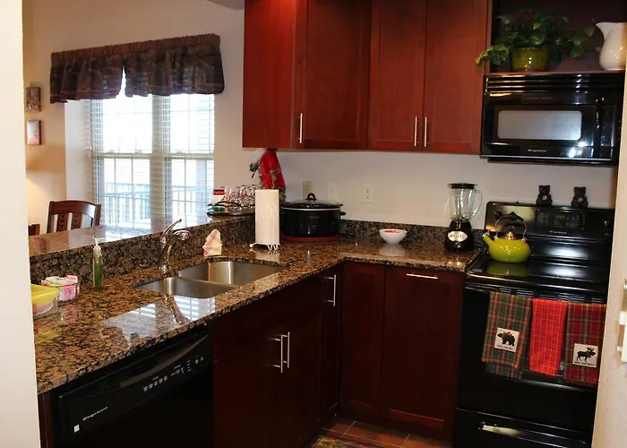 Apartment: What A View